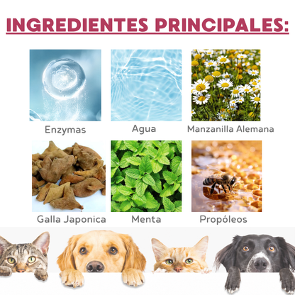 FresquiPet